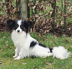 MO
